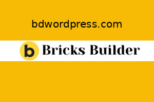 Bricks Builder Installation & Activation