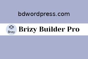 Brizy Builder Pro License Key Activation