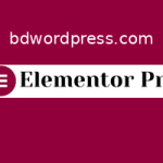 Elementor Pro License Activation