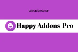 Happy Addons Installation & License Key Activation