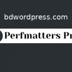 Perfmatters Pro Installation & License Activation