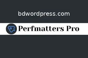 Perfmatters Pro Installation & License Activation