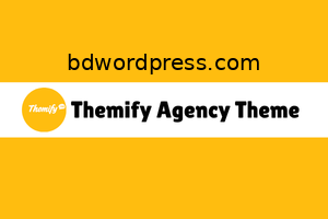 Themify Agency Theme License Activation