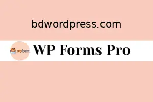 WP Forms Elite Pro Installation & Activation