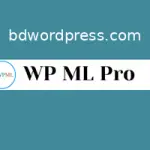 WP ML Pro Installation & Activation (Multilingual)