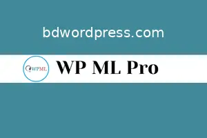 WP ML Pro Installation & Activation (Multilingual)